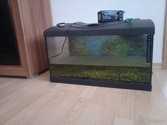 akvarium
