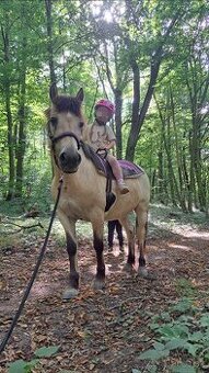 Jazdenie na koni