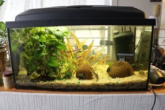 🐠 Kompletné akvárium 60x30x30 – ryby, filter, rastliny, vše