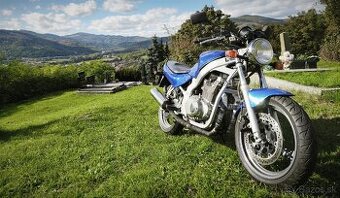 Suzuki gs500e