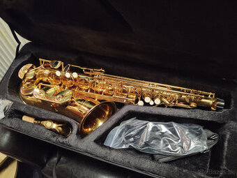 Detský saxofón Roy Benson AS-201