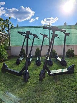Elektricka kolobežka Bird one