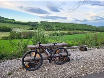 Scott Contessa active
