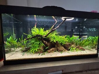 Akvárium 54L