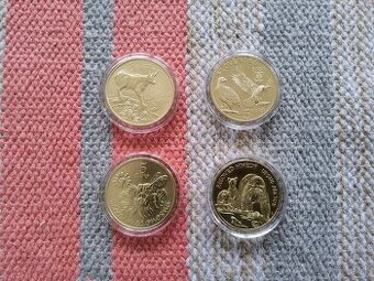 5 eur minca