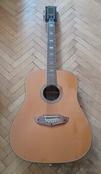 12 strunova akusticka gitara EKO Rio Bravo