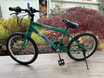 Detský bicykel Alarik 20” s príslušenstvom