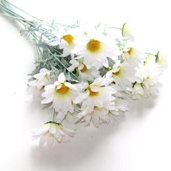 Detoxikace, odkyselení, pročištění celého těla