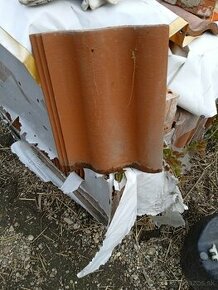 Terran škrídla Synus