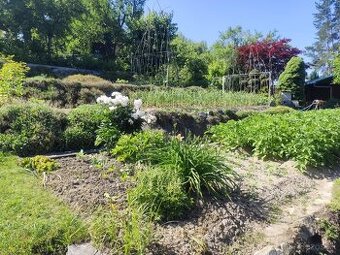 Predám záhradku s chatkou – Mojšová Lúčka I, Žilina