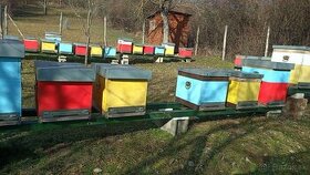 Predám prezimované produkčné včelstvá aj s uľami.