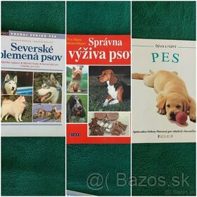Severské plemená psov, Správna  výživa,  Pes - 1