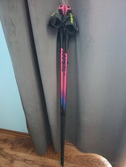 Fizan Nordic Walking palice