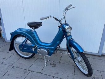 Jawetta 551