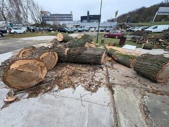 Darujem drevo za odvoz