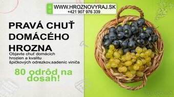 Kvalitné odrezky, sadenice viniča✅ 3 - 4 púčikové