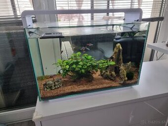Akvarium 60L