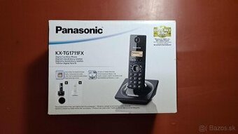 PANASONIC1