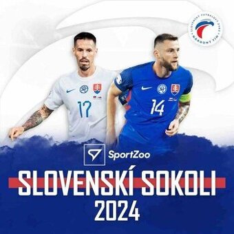 KARTICKY FUTBALOVE - SLOVENSKI SOKOLI 2024