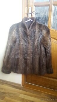 Pravý Kozuch nutria