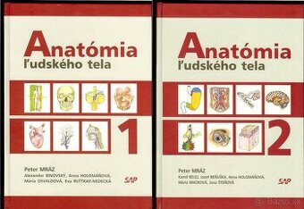 Anatómia - Peter Mráz