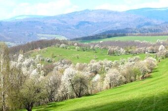 Kobeliarovo – 12.760 m2 LESY a ORNÁ PÔDA