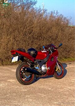 Yamaha FZR 600 na A2