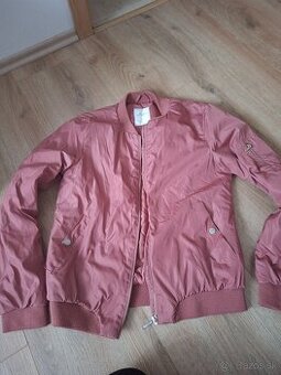 Dievcenka jarna bunda