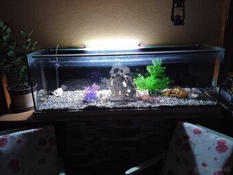 Akvarium