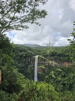 Koupím Honda cb125f