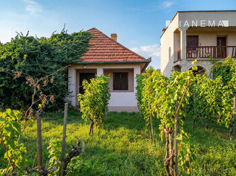 IBA U NÁS Chata, vinohrad, pozemok, Bátorové Kosihy