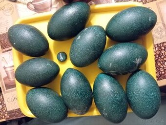 Emu vajcia veľkonočné