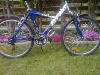 dámsky bicykel