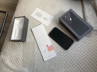 iPhone 8 256GB 100%