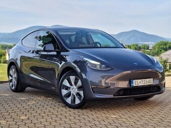 Tesla Model Y Long Range 4x4 DPH