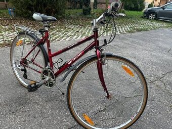 Author bicykel