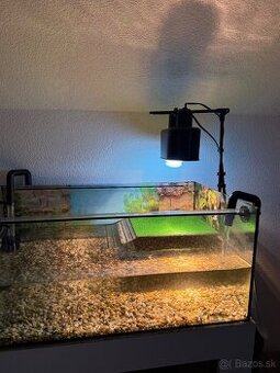 Korytnačka s vybavením