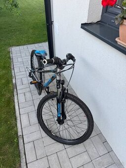 Kellys KITER 50 junior 24”