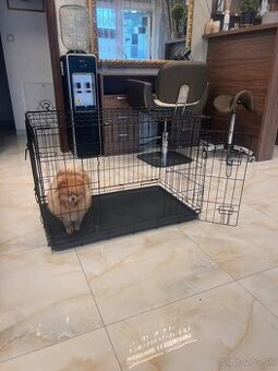 Klientka pre zvieratká