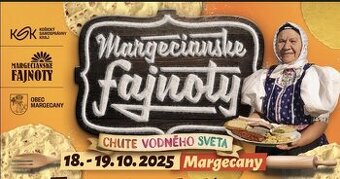 Dopyt vstupenka