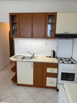 PREDAJ 1-izbový veľký byt s uzavretou lodžiou - 1