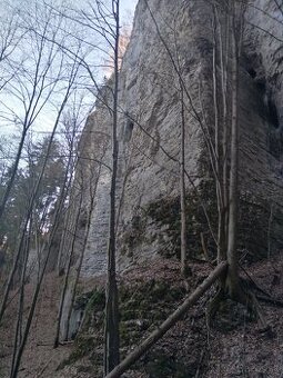 Predám staré rámy