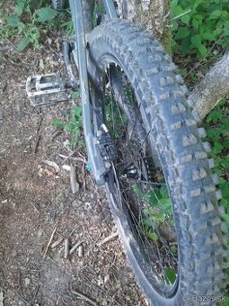 Canyon torque frx