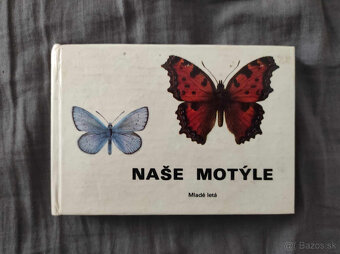 Naše motýle - mlade letá