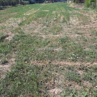 Stavebný pozemok v obci Jasová na predaj 