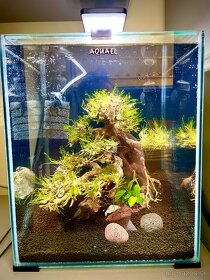 Predám Aquael 30L Shrimp Day & Night akvárium