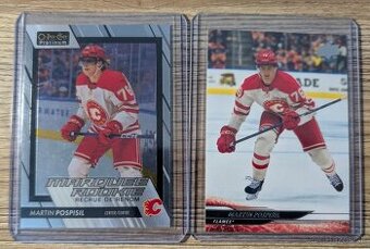 Martin Pospisil - NHL karty