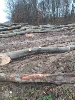 Predaj palivoveho dreva.