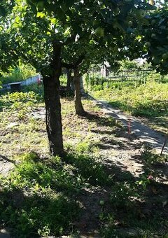 Predam zahradku na Zl.Potoku - 1