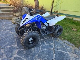 Yamaha Raptor YFM 90 2013